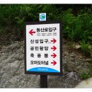 남안동주유소 Daum카페