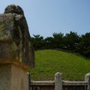 오늘의 경주 이미지