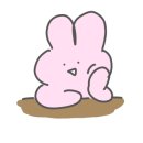 카페수애기