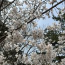 해오름육교 이미지