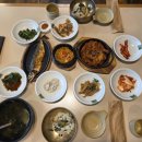 갤러리세런디피티 | 안산맛집 영월애곤드레 I 영월 무릉도원 곤드레밥 정식 내돈내산 후기
