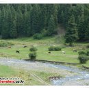 남산목장 이미지