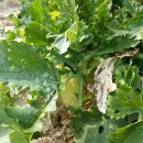 신중농장 이미지