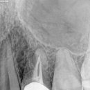 바른윤치과의원 이미지