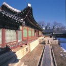 종로-종로-종로-종-245 | 창덕궁(昌德宮)