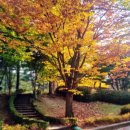 태현공원앞 이미지