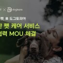 도그토피아 이미지