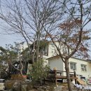 펜션 이상한 앨리스 이미지