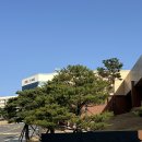 유진어린이수영장 | 소노펠리체 델피노 골드스위트 | 자쿠지, 수영장, 아이와 함께