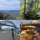 (주) 씨푸드락 이미지