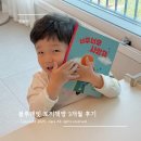 4세 유아전집 블루래빗 토끼책방 유아창작동화 3개월 후기