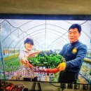 도청농장 | 청주 도청 근처 점심맛집, 든든한 제육쌈밥 한 상