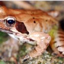 남도영양탕 이미지