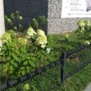 완주 둔산 도서관 이미지