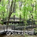 수락산 순환산책로 이미지