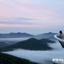 굿모닝통상 - 유성구 관들5길 19 | 여름 삿포로 여행 날씨와의 눈치싸움 호시노 리조트 토마무 운해 사냥 후기