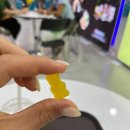 주식회사 핸디엄 | 베지 노믹스 베어-비건 페스타