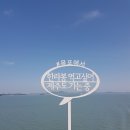 판포보름 이미지