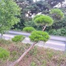 시골반찬 - 군산시 삼학8길 26 | 시골반찬