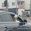 아름다운 머뭄 이미지