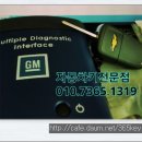 노브식스 Daum카페