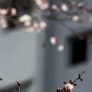 금호동 장미아파트 이미지