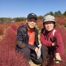 개나리공원4 이미지