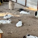 모험공원 이미지