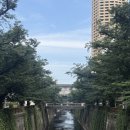 여주-0051 이미지