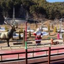 산타빌리지(푸드코트) 이미지