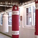 플렉스 복싱 PT 이미지