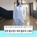 브렌드 | 카라 니트 스웨터 추천 탑텐 울브렌드 배색 폴로넥 스웨터 후기
