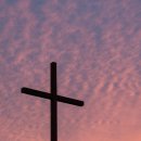 (주)선민건설 | [독서후기] 살아있는 세계사 교과서 (전국역사교사모임) 8.5점