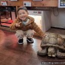 센트럴 곤충생태농장 | [화성 아이와 가볼만한곳] 2천원으로 즐기는 실내 미니동물원 후기 - 센트럴곤충생태농장
