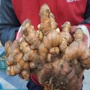 정우우체국 이미지