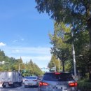 신호세탁소 이미지