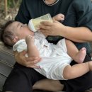 네네치킨(언양) 이미지