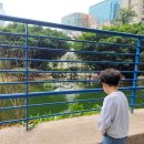 구룡어린이공원 | 홍콩 도심 속 홍학을 볼 수 있는 공원 / 아이와 함께 침사추이 가볼 만한 곳/ 구룡공원 어린이 놀이터