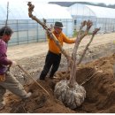 김병환농장 이미지