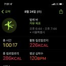 피크닉케이크 이미지