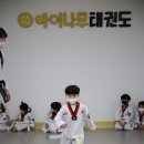 아이나무태권도 이미지