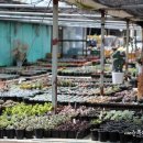 청목농장 이미지