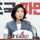 국제법률전문가협회