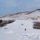 매봉산1 이미지