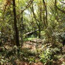 제주금산민박 이미지