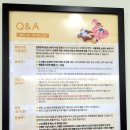 (주)돌핀수영 이미지