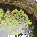 보림축산 네이버블로그