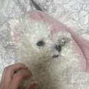 (주)속초전력 이미지