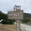 신성리 공룡발자국 이미지