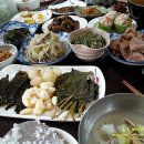 비바리언니 이미지